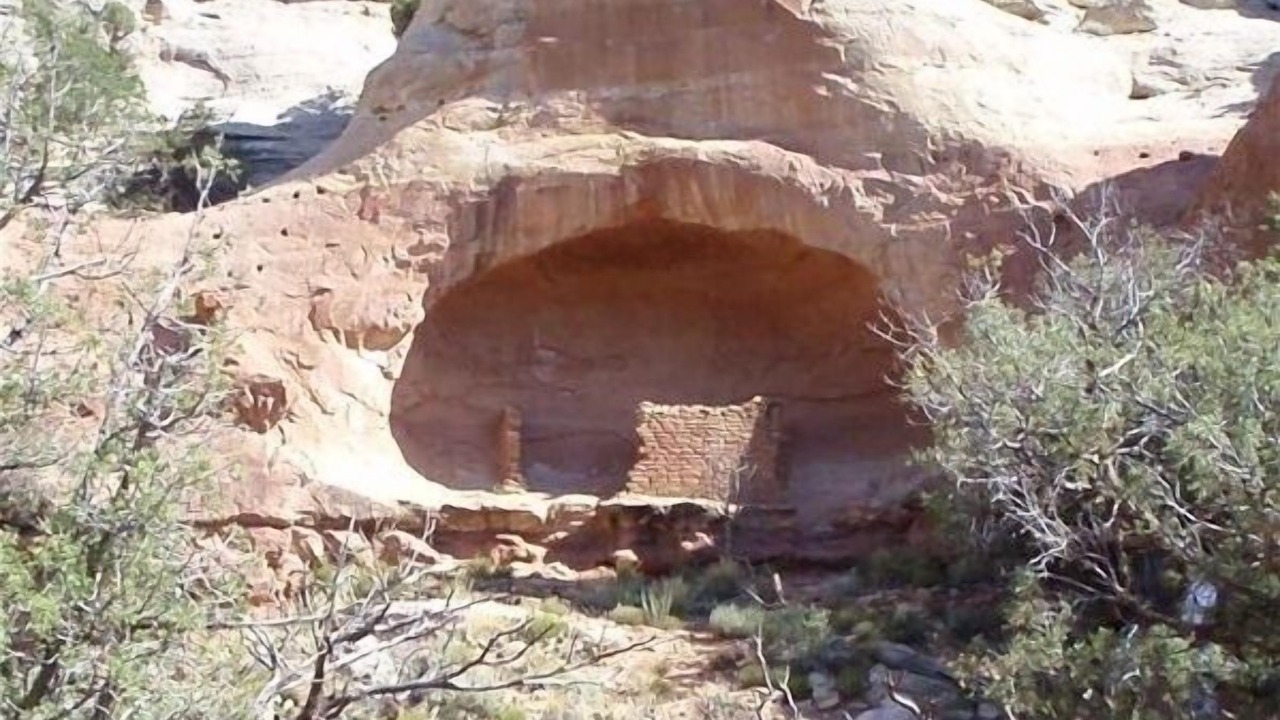 Photo of Others in Cortez