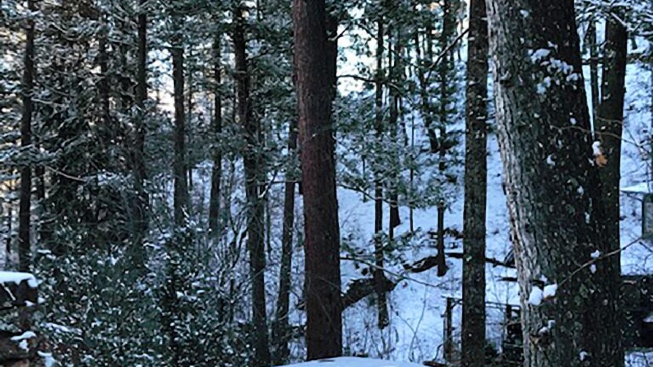 Photo of Others in Cascade