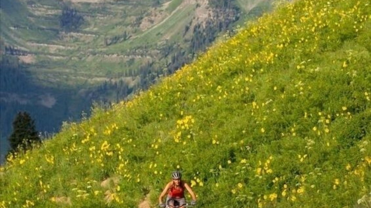 Photo of Outdoor in Crested Butte