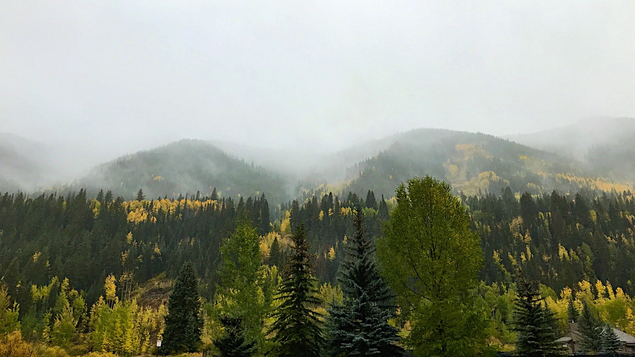 Photo of Others in Vail
