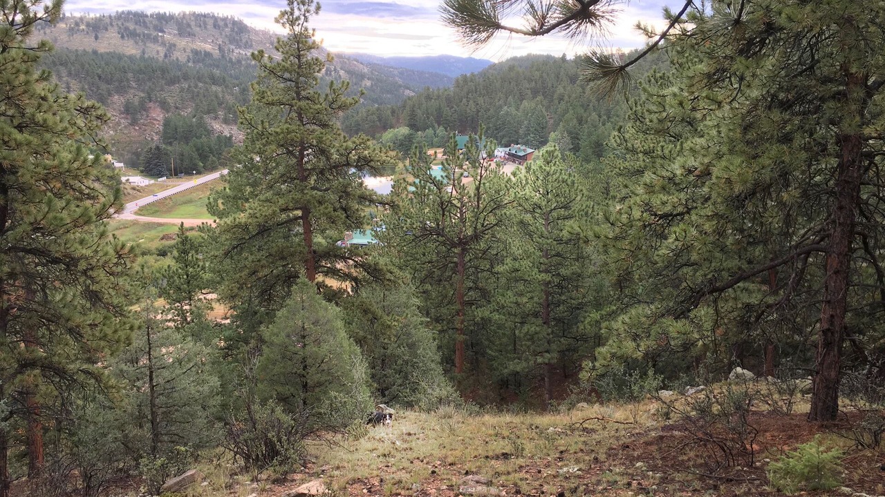 Photo of Outdoor in Bailey