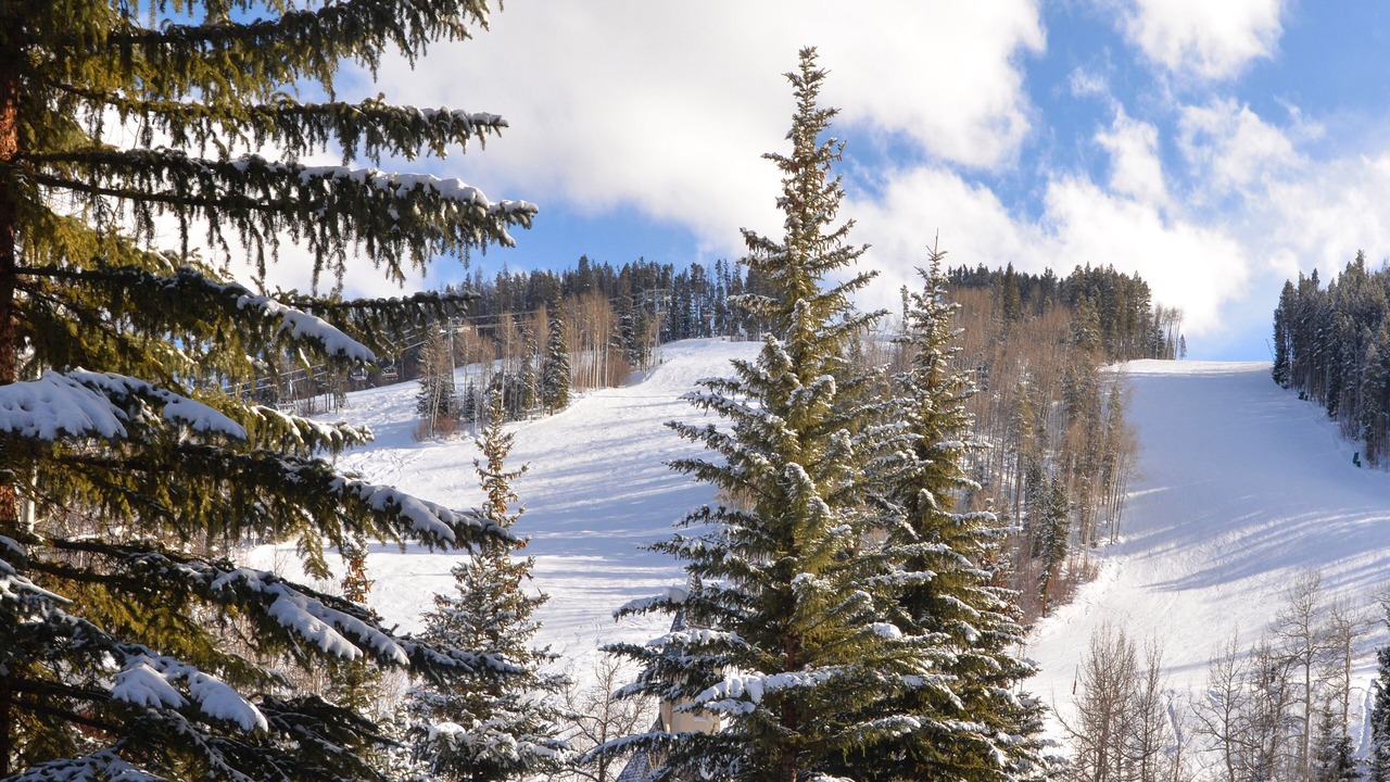 Photo of Others in Beaver Creek