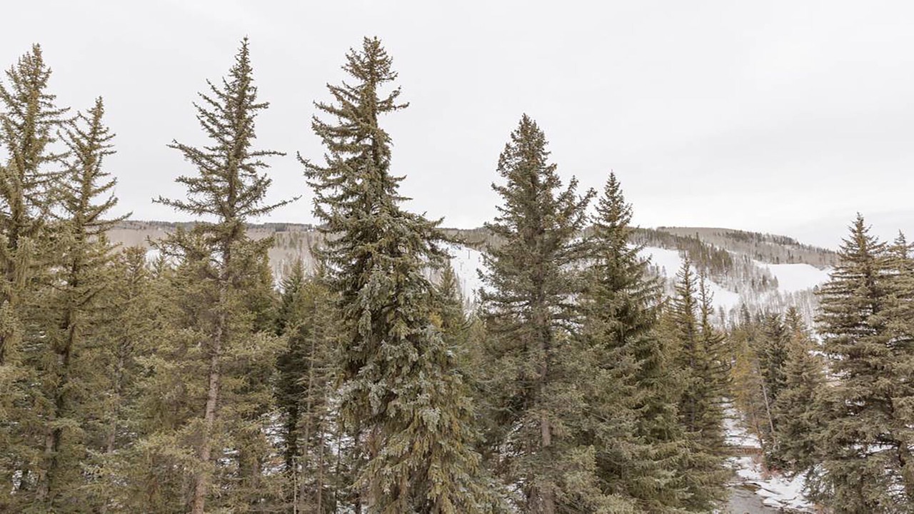 Photo of Others in Vail