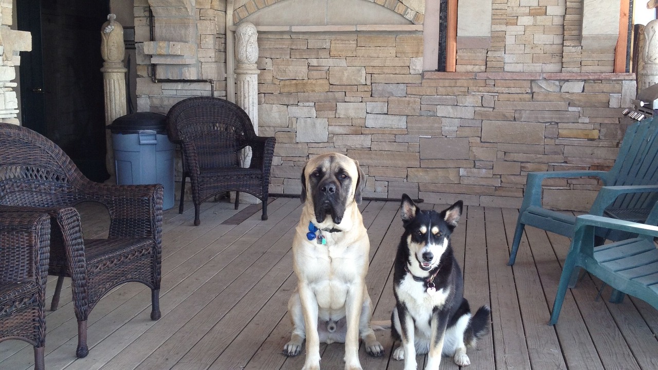 Photo of Outdoor in Steamboat Springs