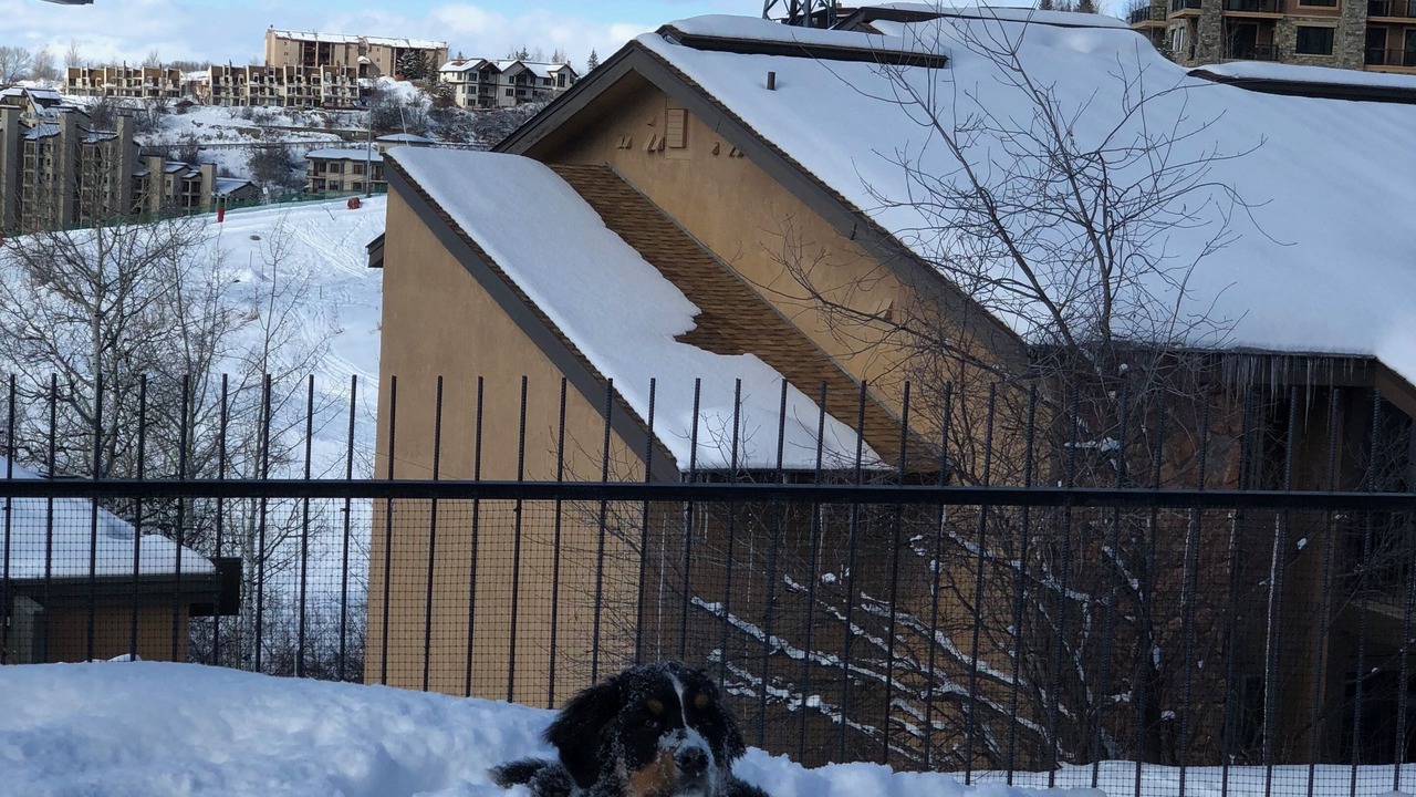 Photo of Outdoor in Steamboat Springs