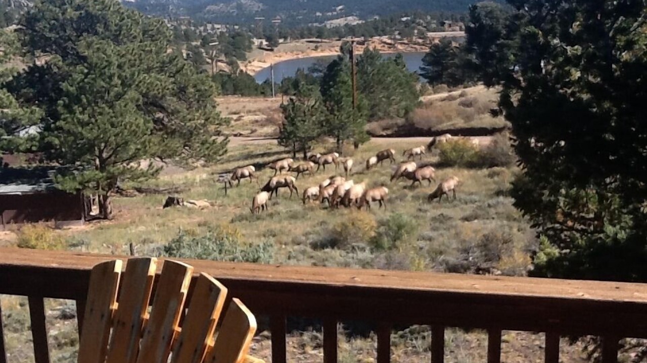 Photo of Others in Estes Park