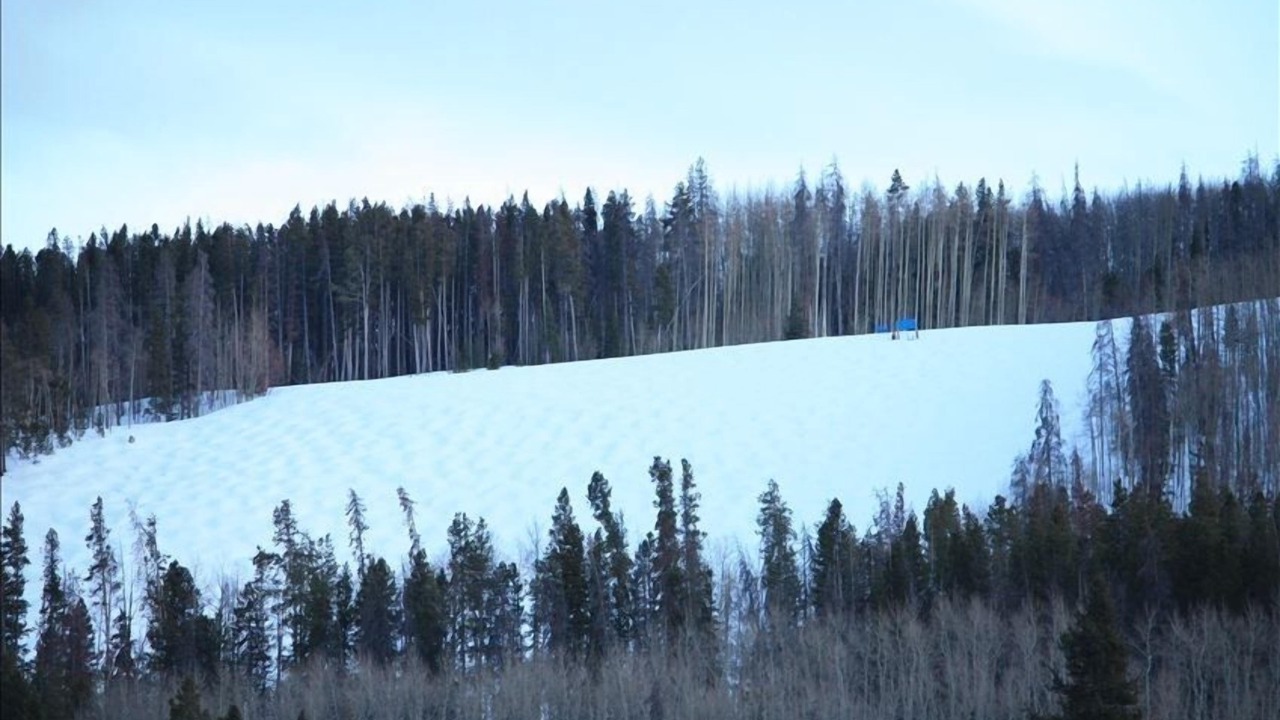 Photo of Others in Vail