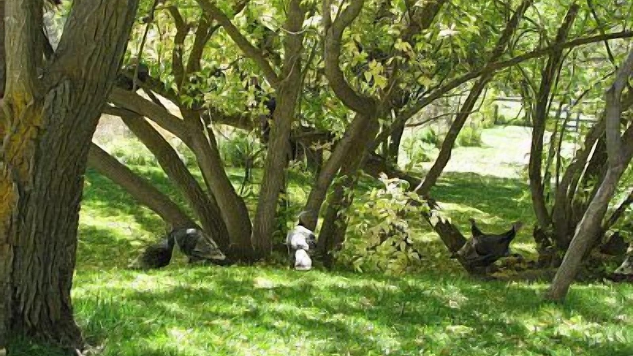 Photo of Others in Paonia