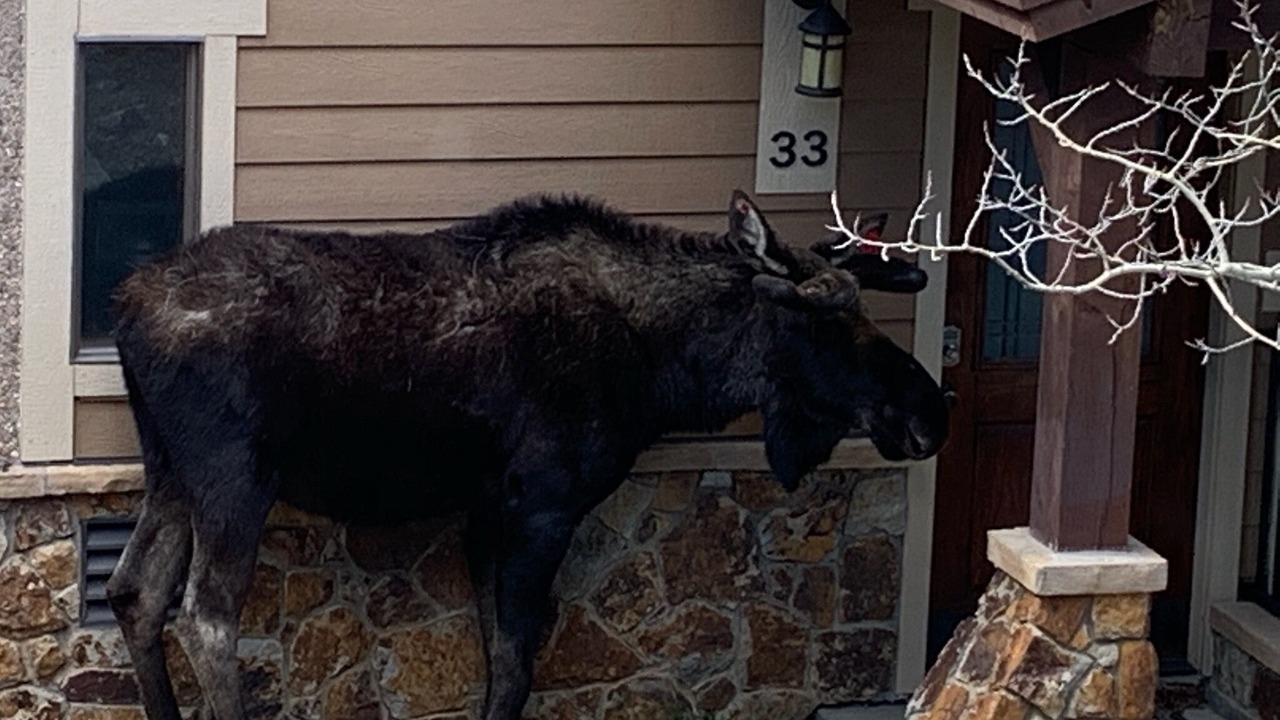 Photo of Outdoor in Breckenridge