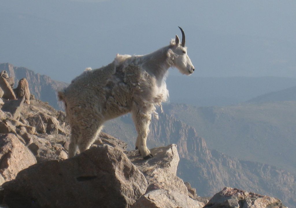 Photo of Others in Idaho Springs