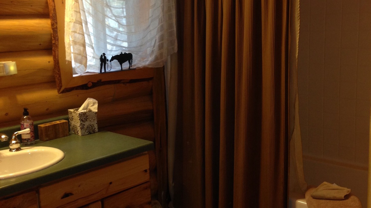 Photo of Bathroom in Idaho Springs
