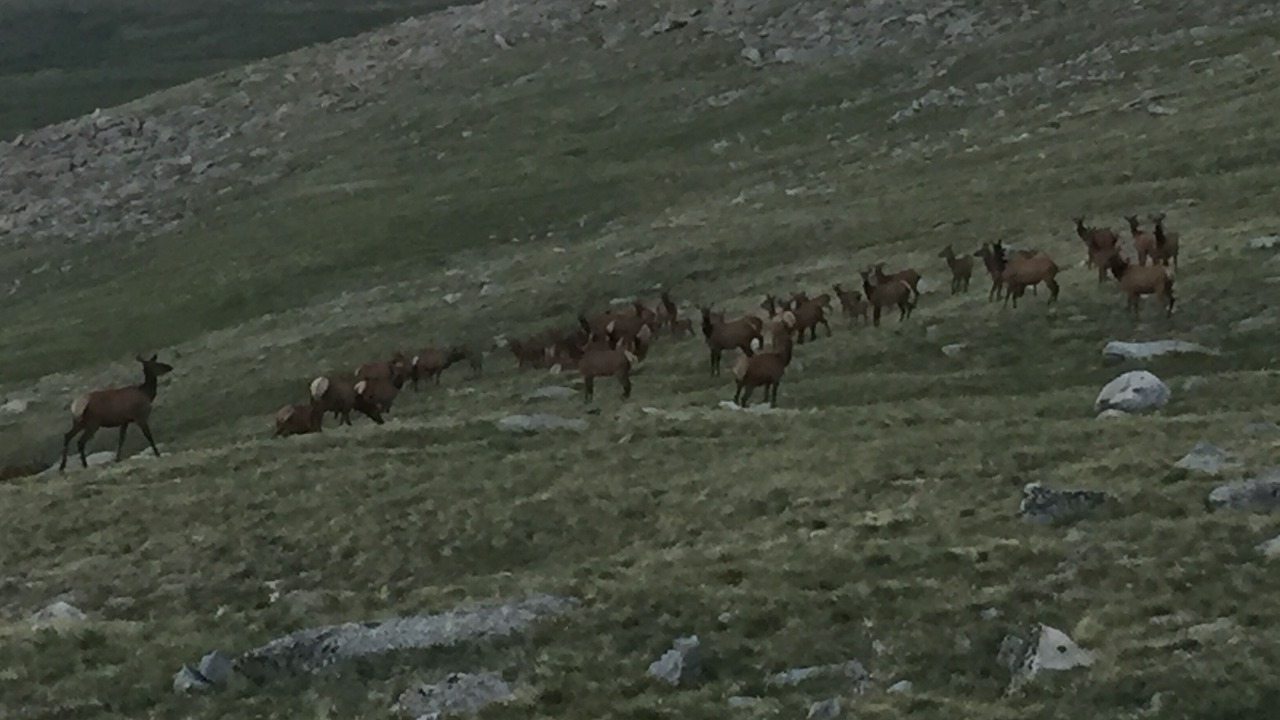 Photo of Others in Idaho Springs