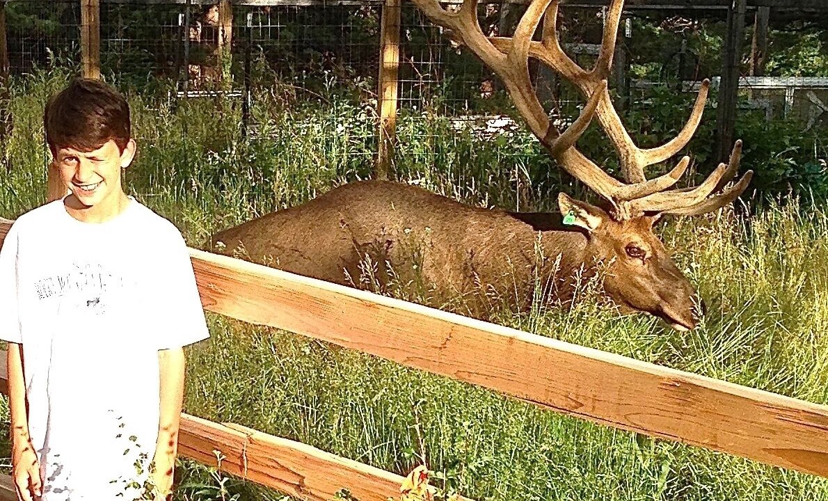 Photo of Others in Estes Park