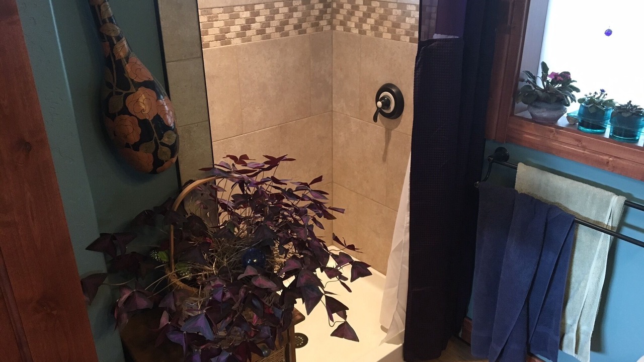 Photo of Bathroom in Crested Butte South
