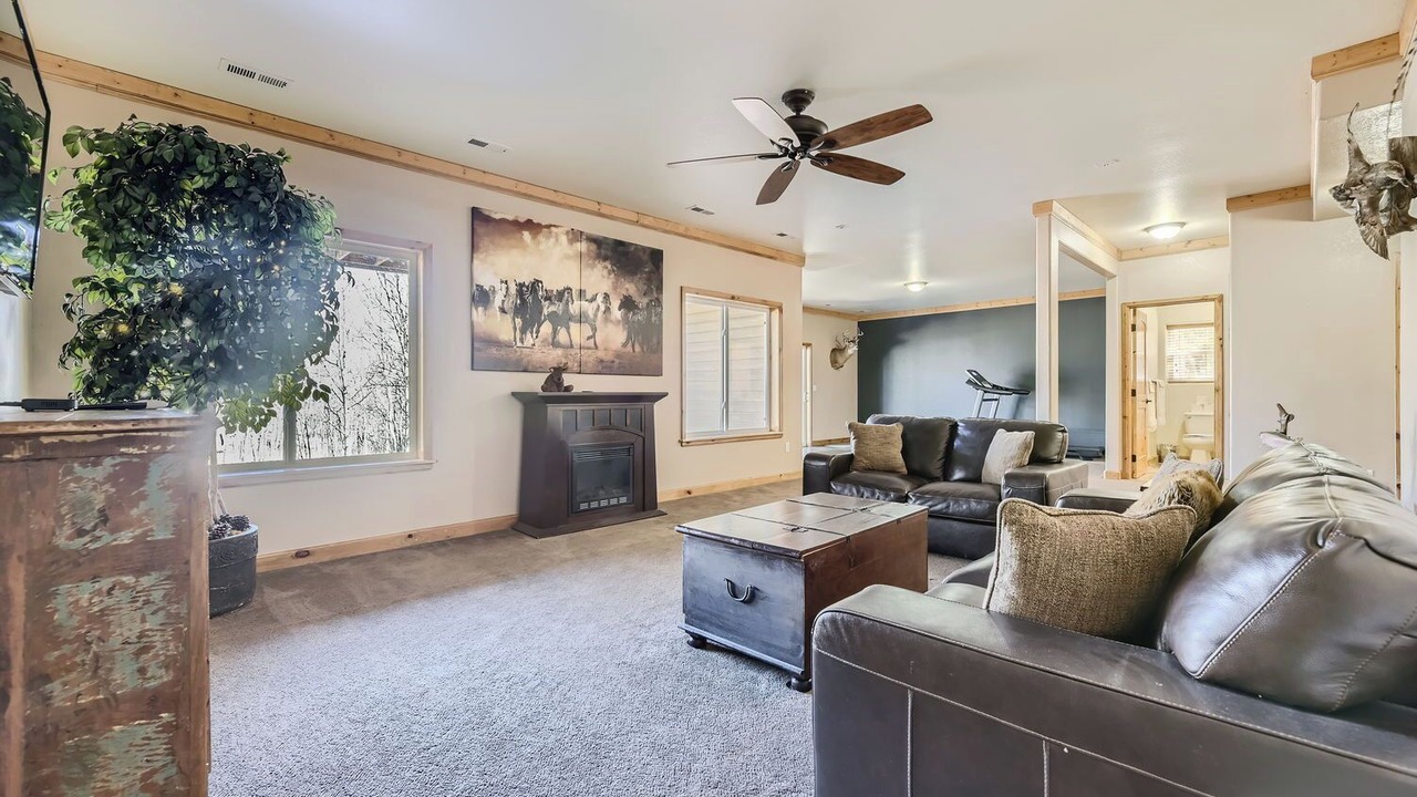 Photo of Livingroom in Fairplay