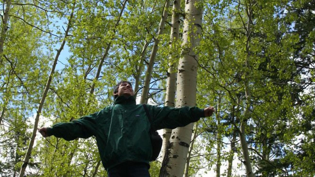 Photo of Others in Mancos