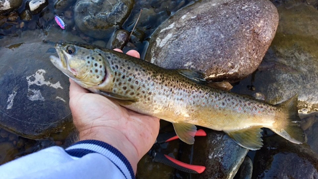 Photo of Others in San Juan River Village