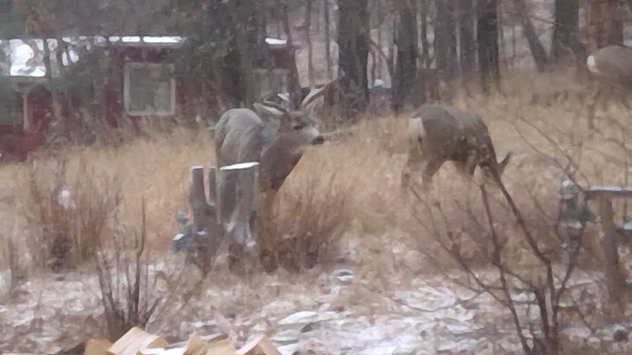 Photo of Outdoor in Beulah