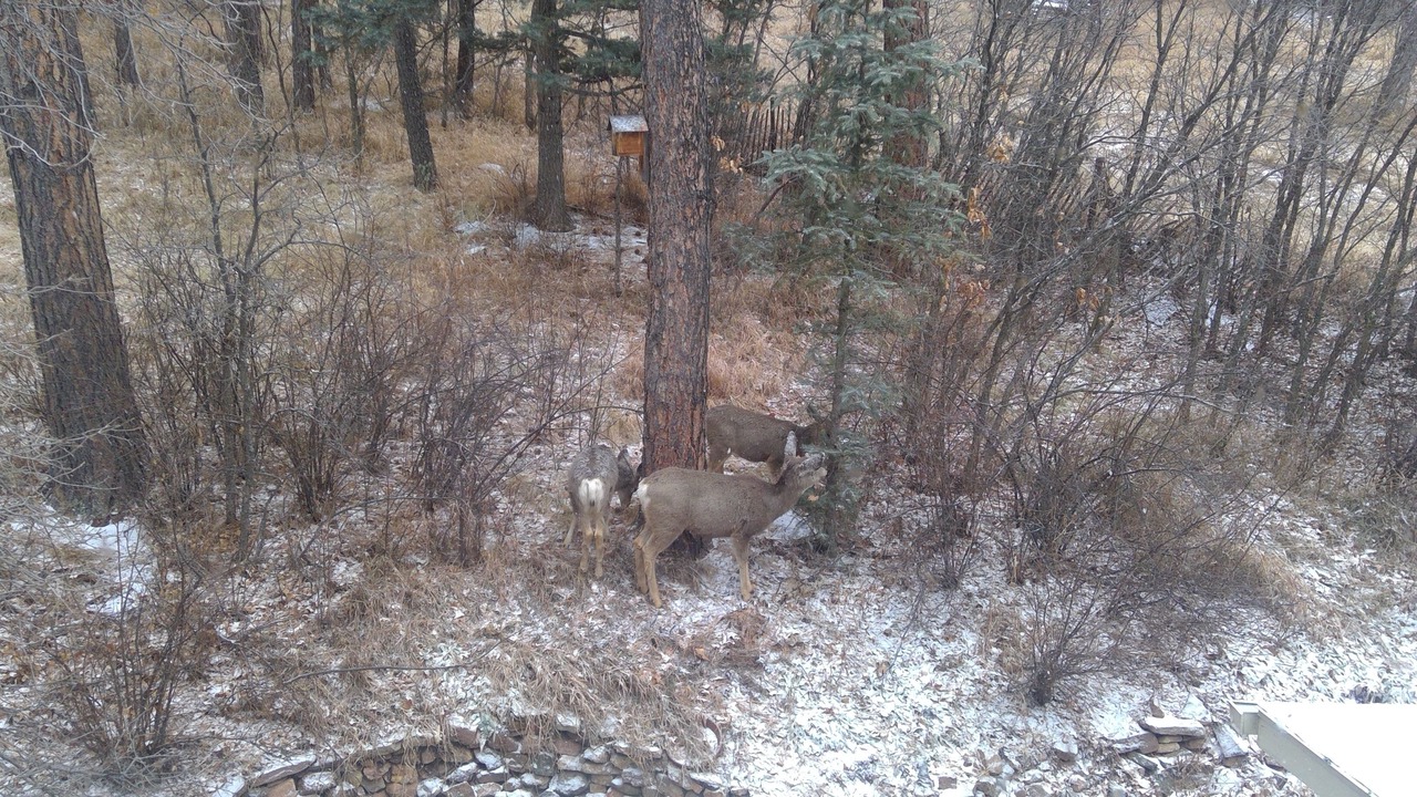 Photo of Outdoor in Beulah