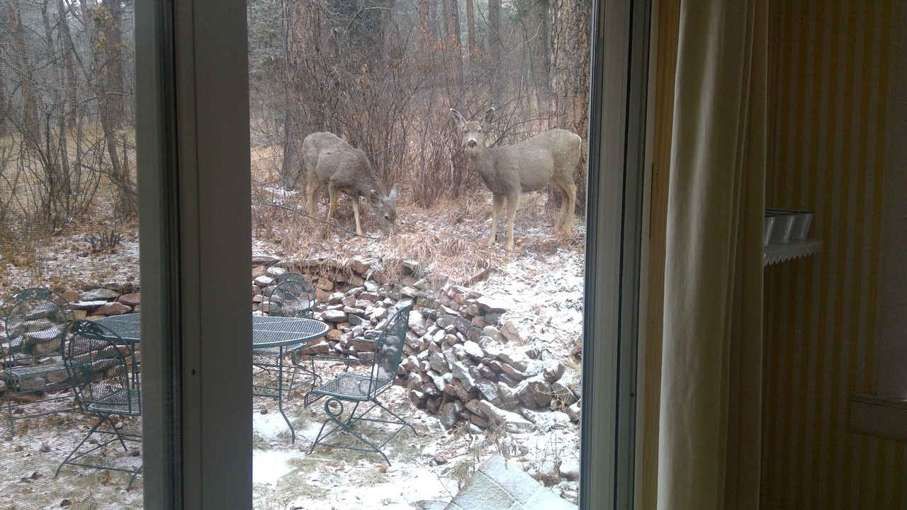 Photo of Others in Beulah