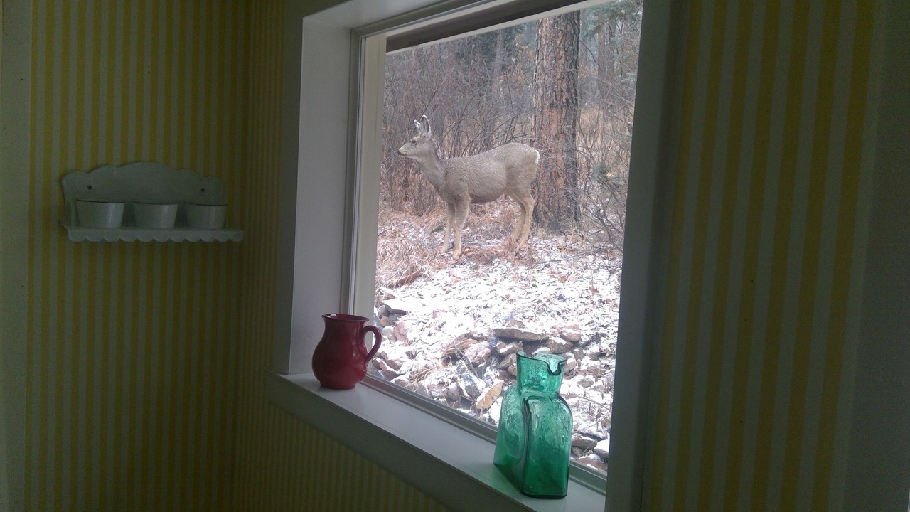 Photo of Others in Beulah