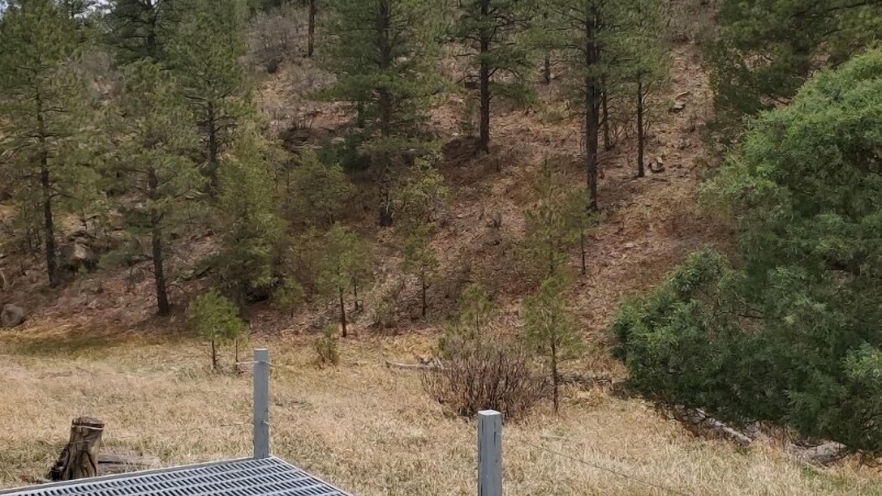 Photo of Outdoor in Weston