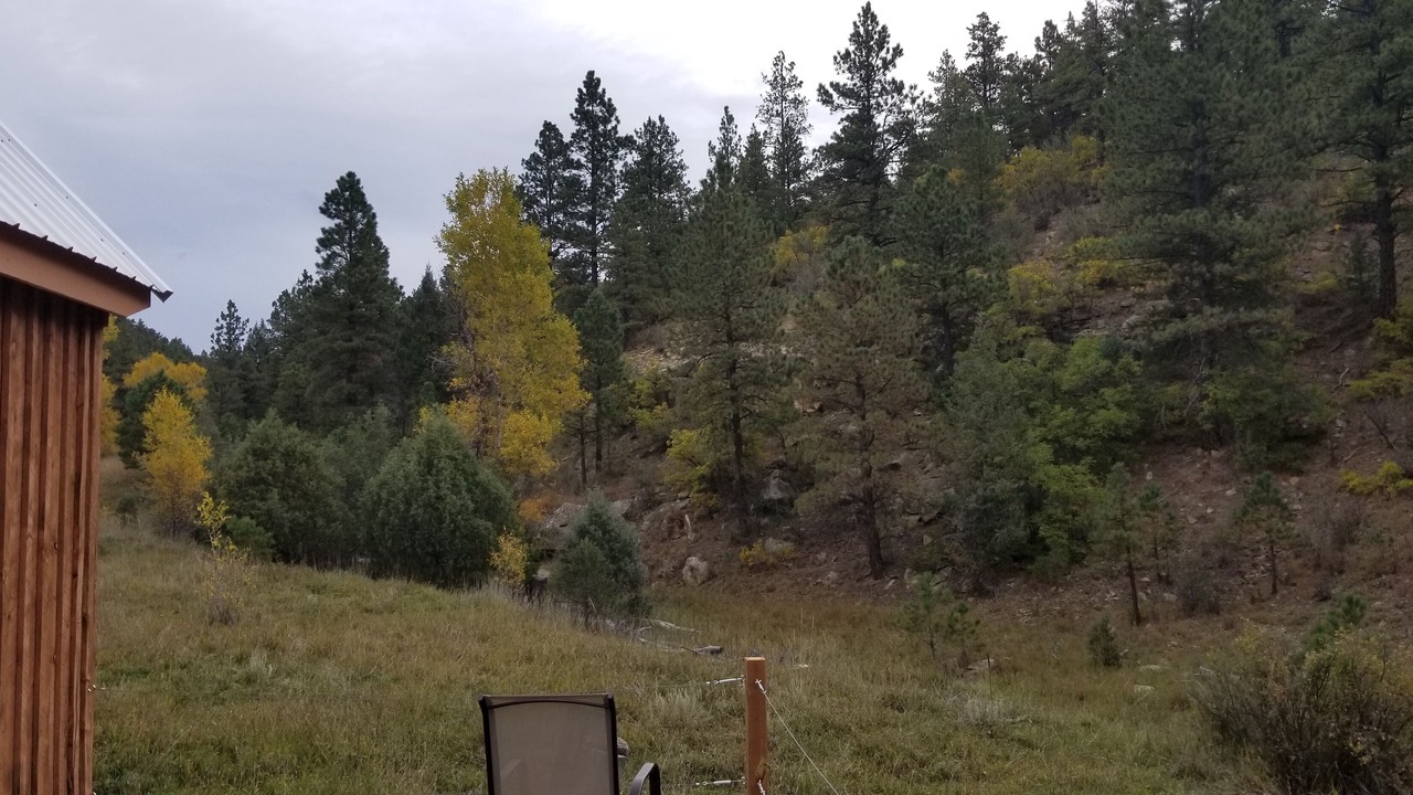 Photo of Outdoor in Weston