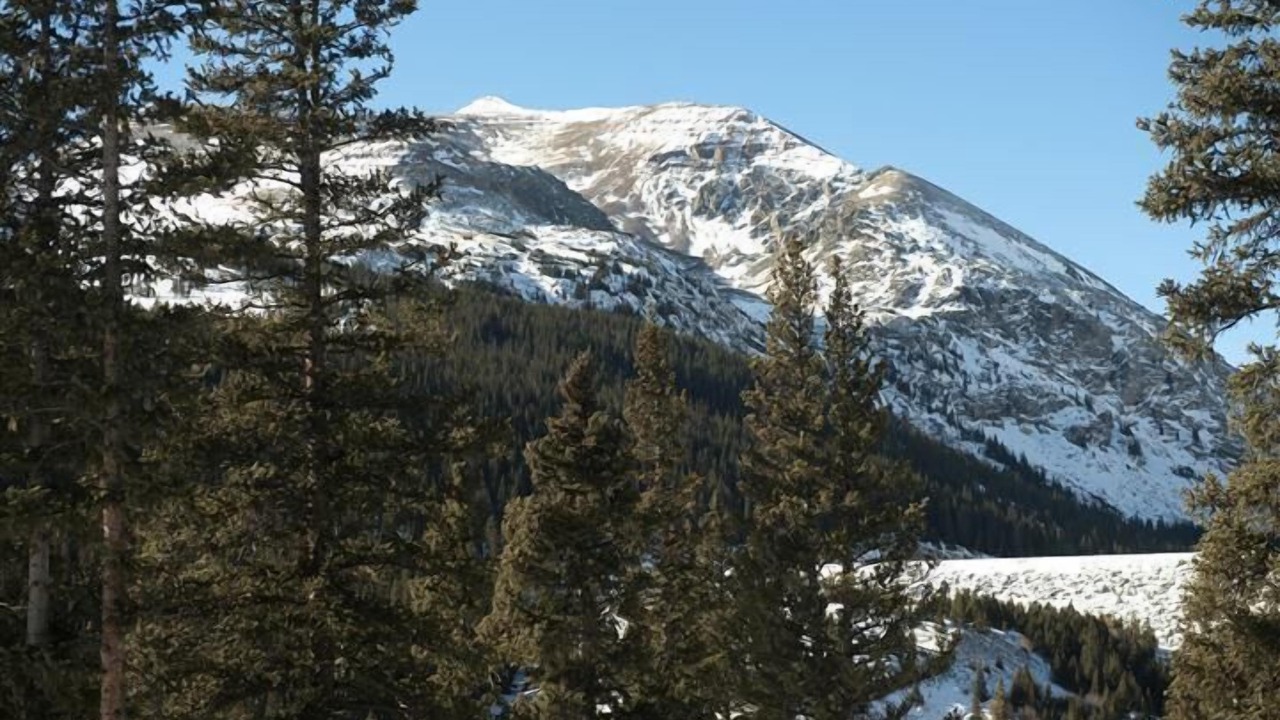 Photo of Others in Alma