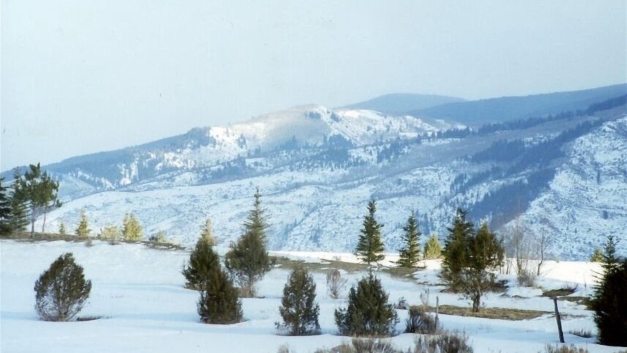 Photo of Others in Edwards