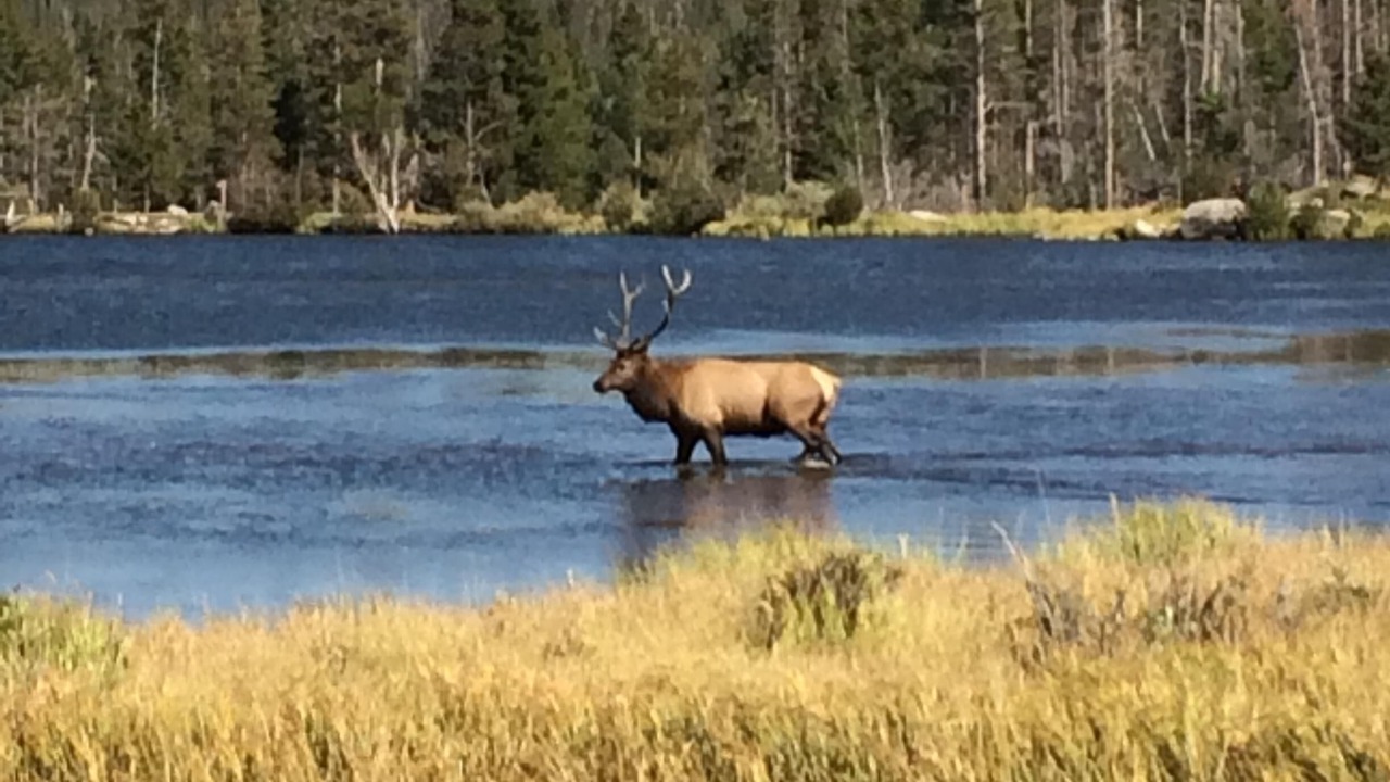 Photo of Outdoor in Estes Park
