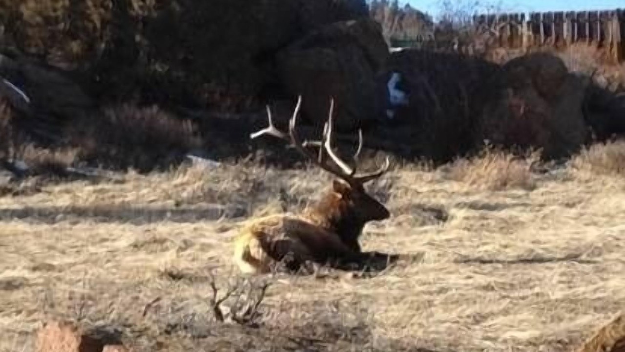 Photo of Others in Estes Park