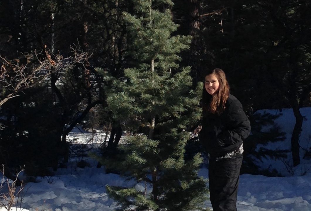 Photo of Others in Pagosa Springs