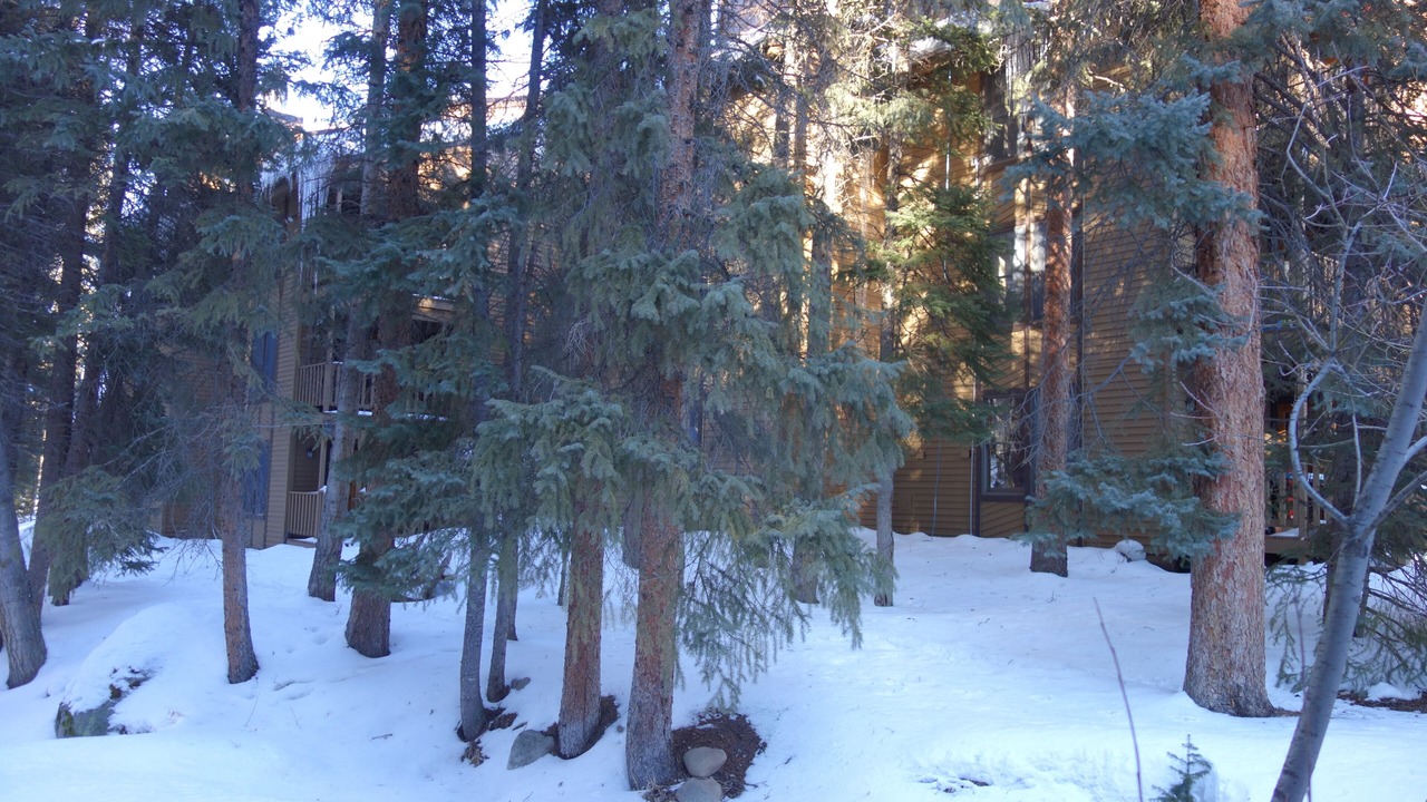 Photo of Others in Winter Park