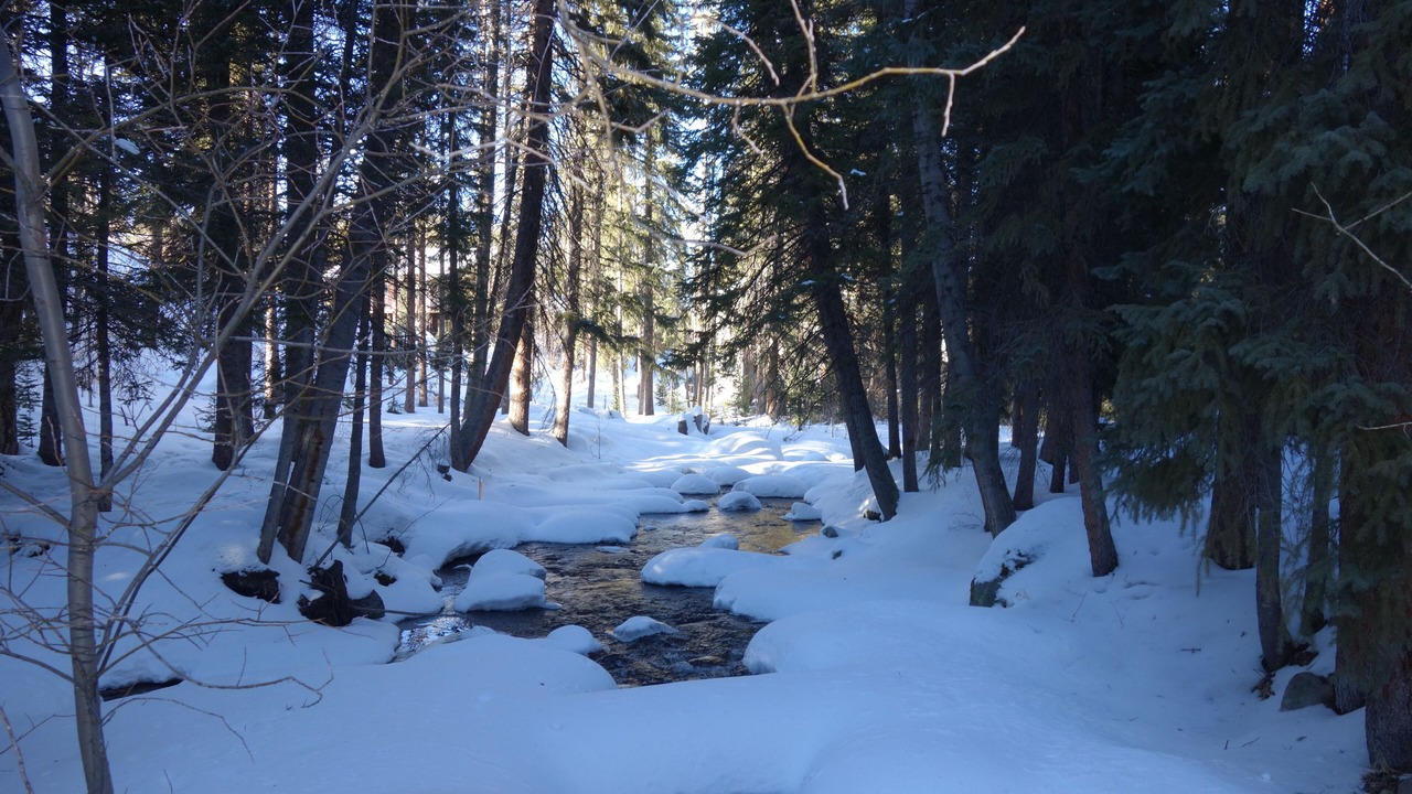 Photo of Others in Winter Park