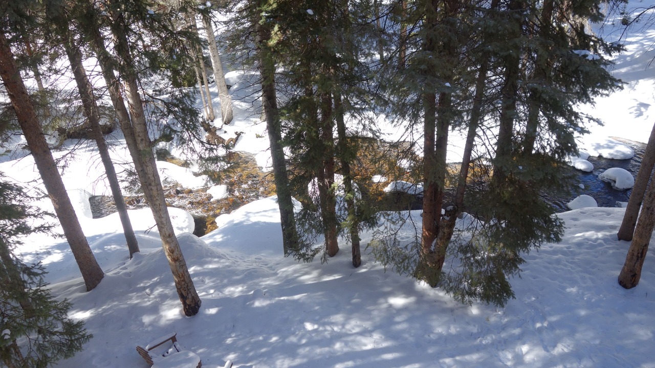 Photo of Others in Winter Park