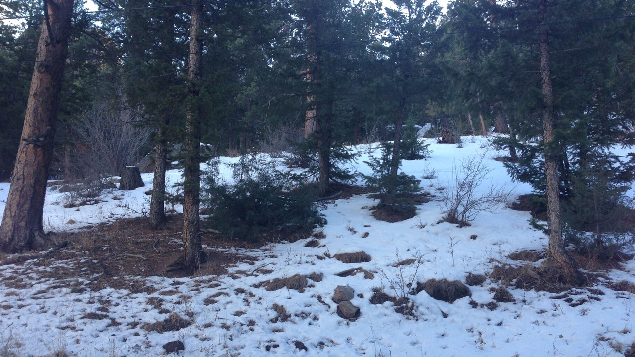 Photo of Others in Estes Park