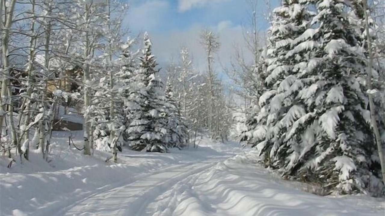 Photo of Others in Snowmass Village