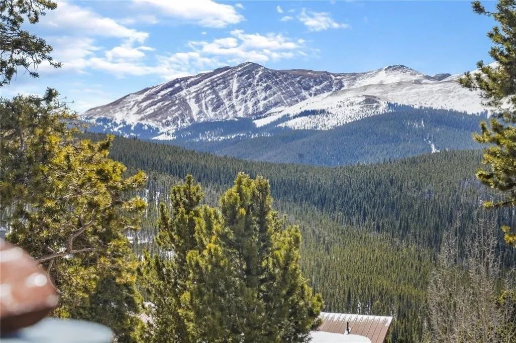 Photo of Others in Baldy Mountain