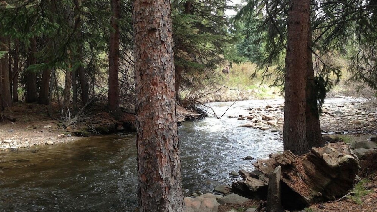 Photo of Outdoor in Old Town