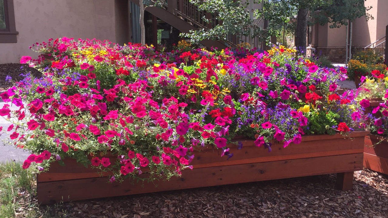Photo of Outdoor in Vail