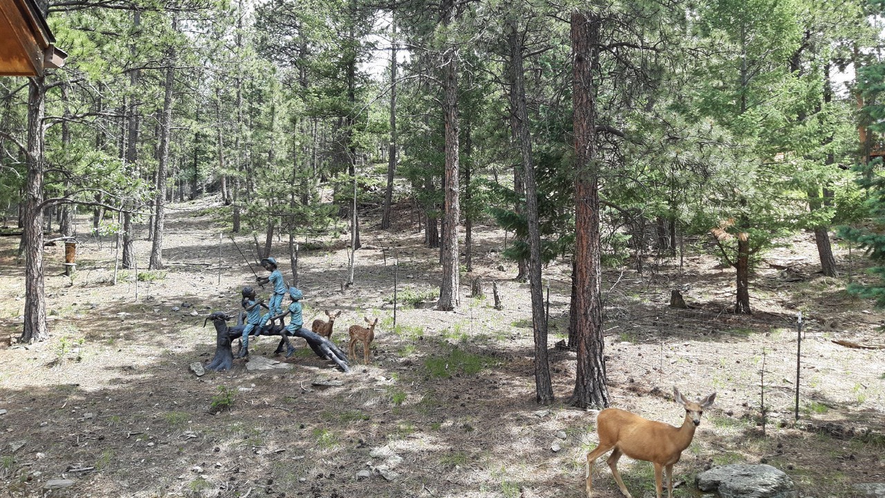 Photo of Outdoor in Bailey