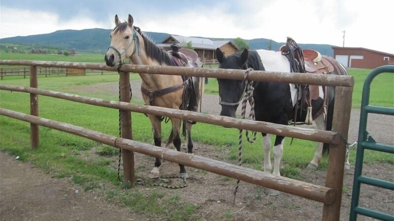 Photo of Others in Steamboat Springs