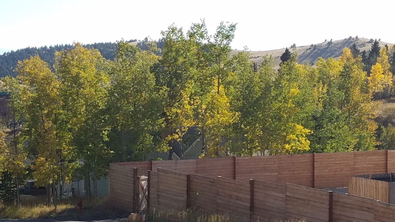 Photo of Others in Cripple Creek