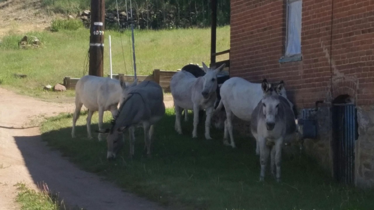Photo of Outdoor in Cripple Creek