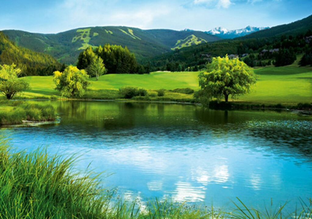 Photo of Others in Avon