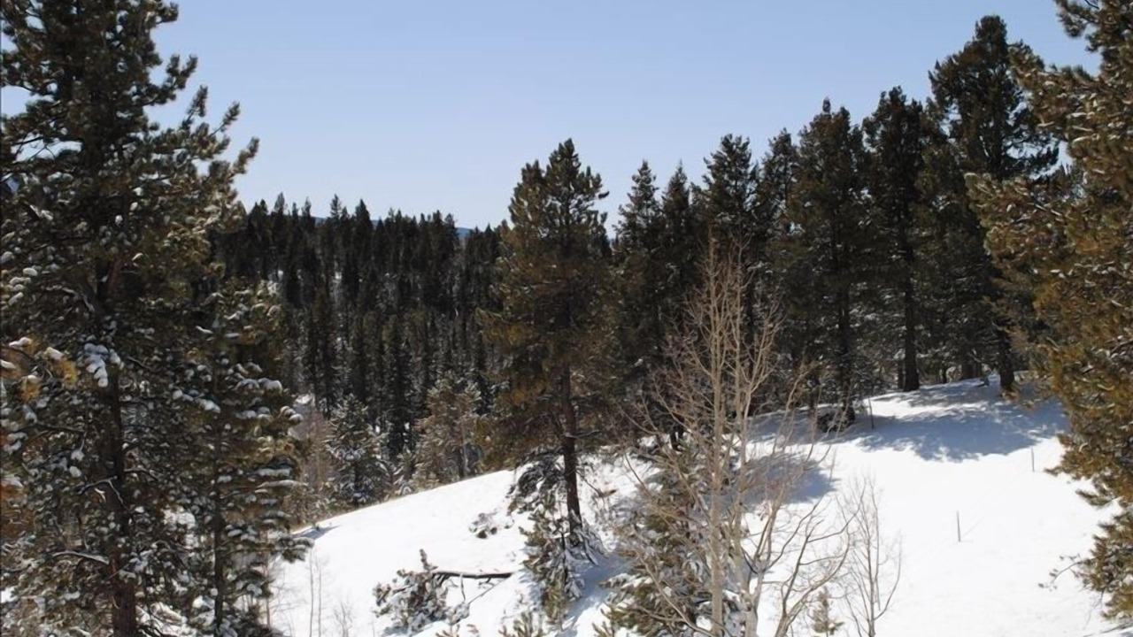 Photo of Outdoor in Woodland Park