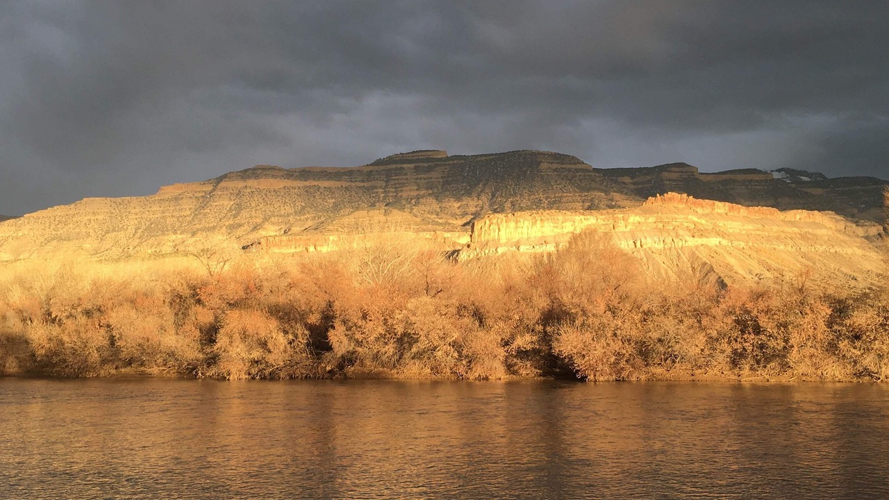 Photo of Others in Palisade