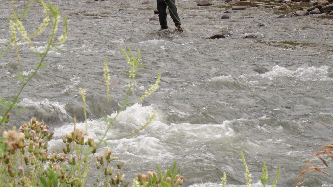 Photo of Others in San Juan River Village