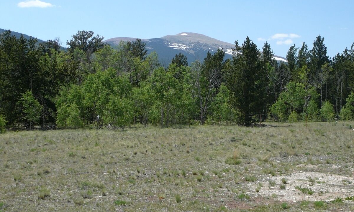 Photo of Others in Warm Springs