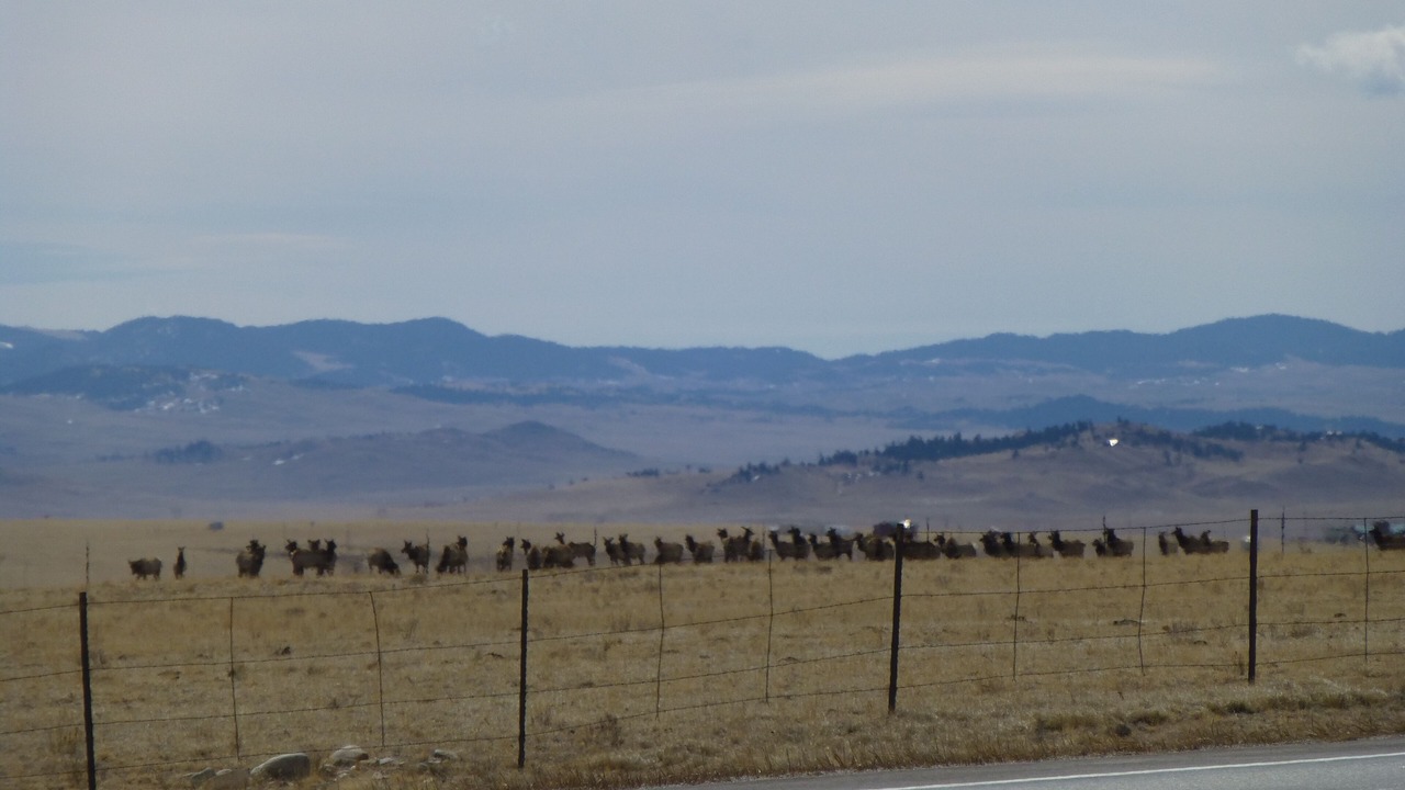 Photo of Others in Warm Springs